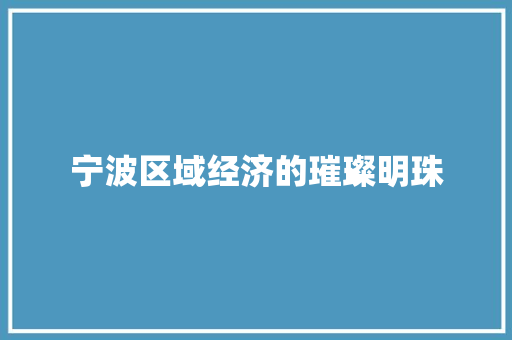 宁波区域经济的璀璨明珠 宁波区域经济的璀璨明珠