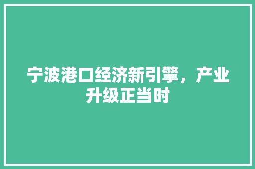 宁波港口经济新引擎,产业升级正当时 宁波港口经济新引擎,产业升级正当时