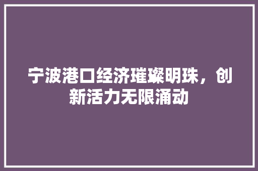宁波港口经济璀璨明珠,创新活力无限涌动 宁波港口经济璀璨明珠,创新活力无限涌动