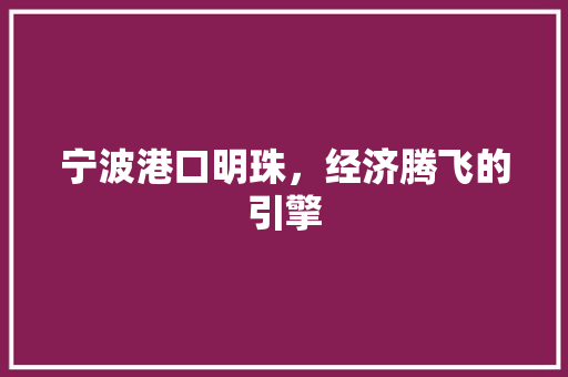 宁波港口明珠,经济腾飞的引擎 宁波港口明珠,经济腾飞的引擎