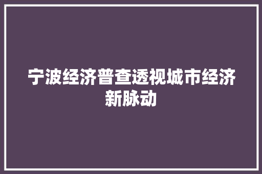 宁波经济普查透视城市经济新脉动 宁波经济普查透视城市经济新脉动