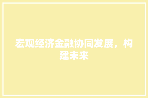 宏观经济金融协同发展,构建未来 宏观经济金融协同发展,构建未来