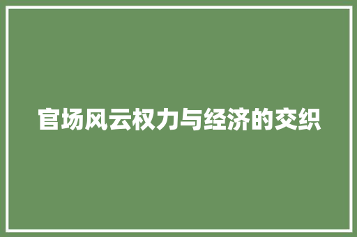 官场风云权力与经济的交织 官场风云权力与经济的交织