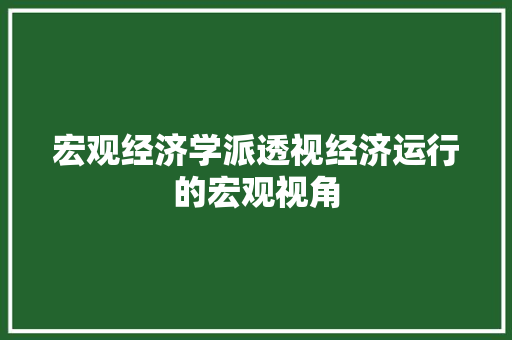 宏观经济学派透视经济运行的宏观视角 宏观经济学派透视经济运行的宏观视角