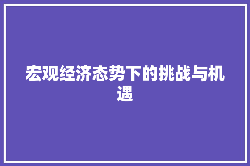宏观经济态势下的挑战与机遇 宏观经济态势下的挑战与机遇
