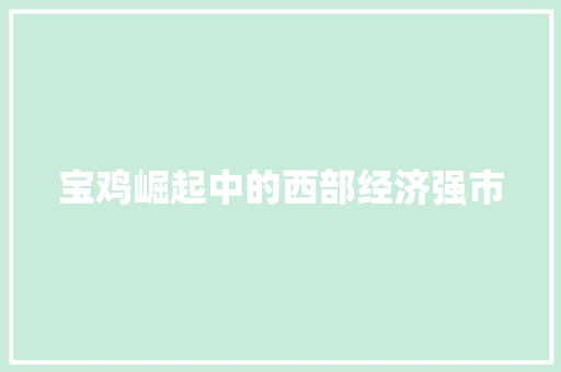 宝鸡崛起中的西部经济强市 宝鸡崛起中的西部经济强市