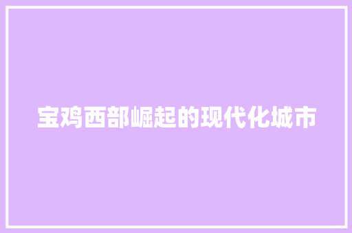 宝鸡西部崛起的现代化城市 宝鸡西部崛起的现代化城市