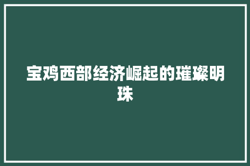 宝鸡西部经济崛起的璀璨明珠 宝鸡西部经济崛起的璀璨明珠