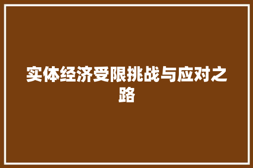 实体经济受限挑战与应对之路 实体经济受限挑战与应对之路