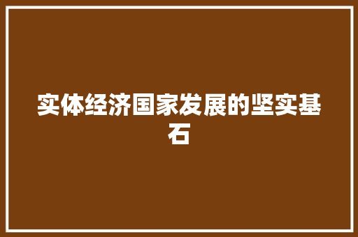 实体经济国家发展的坚实基石 实体经济国家发展的坚实基石