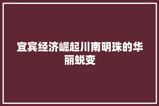 宜宾经济崛起川南明珠的华丽蜕变 宜宾经济崛起川南明珠的华丽蜕变