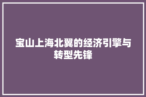 宝山上海北翼的经济引擎与转型先锋 宝山上海北翼的经济引擎与转型先锋