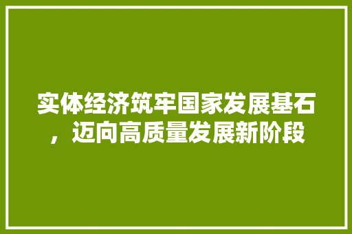 实体经济筑牢国家发展基石,迈向高质量发展新阶段 实体经济筑牢国家发展基石,迈向高质量发展新阶段