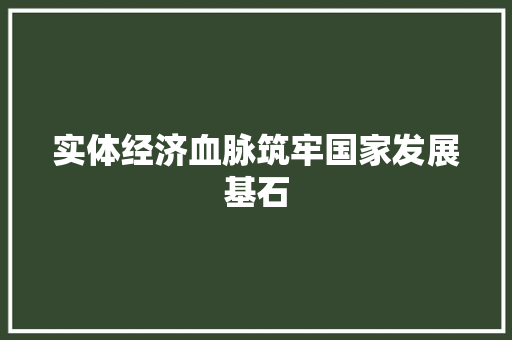 实体经济血脉筑牢国家发展基石 实体经济血脉筑牢国家发展基石
