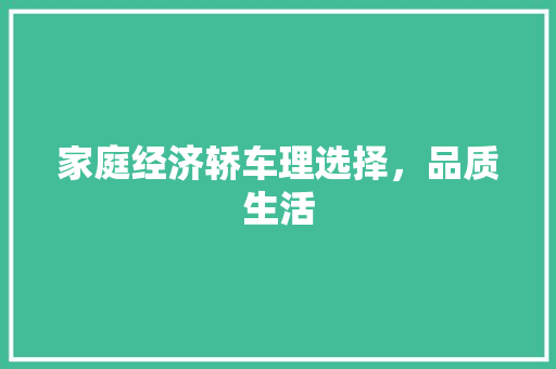 家庭经济轿车理选择,品质生活 家庭经济轿车理选择,品质生活