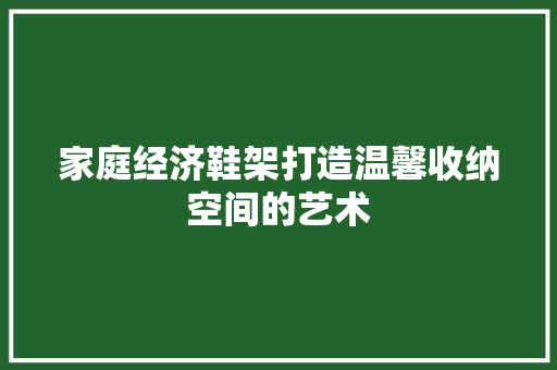 家庭经济鞋架打造温馨收纳空间的艺术 家庭经济鞋架打造温馨收纳空间的艺术