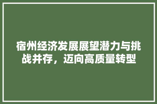 宿州经济发展展望潜力与挑战并存,迈向高质量转型 宿州经济发展展望潜力与挑战并存,迈向高质量转型