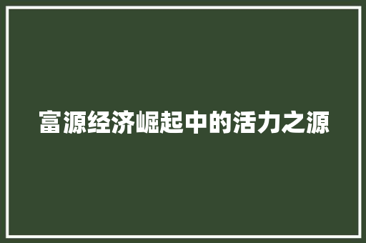 富源经济崛起中的活力之源 富源经济崛起中的活力之源