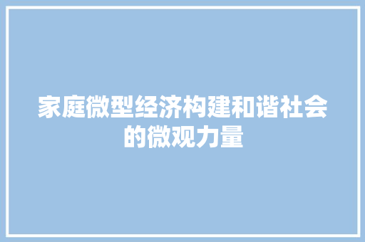 家庭微型经济构建和谐社会的微观力量 家庭微型经济构建和谐社会的微观力量