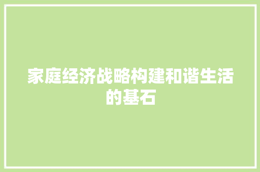 家庭经济战略构建和谐生活的基石 家庭经济战略构建和谐生活的基石