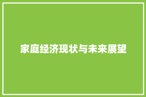 家庭经济现状与未来展望 家庭经济现状与未来展望