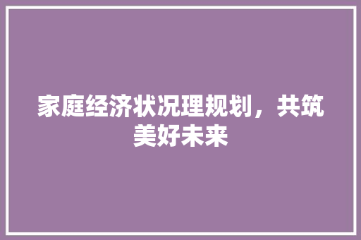 家庭经济状况理规划,共筑美好未来 家庭经济状况理规划,共筑美好未来