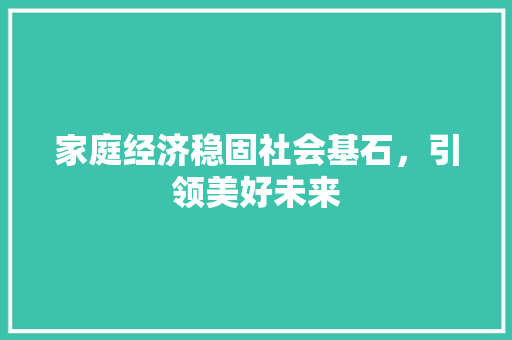 家庭经济稳固社会基石,引领美好未来 家庭经济稳固社会基石,引领美好未来