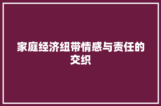 家庭经济纽带情感与责任的交织 家庭经济纽带情感与责任的交织