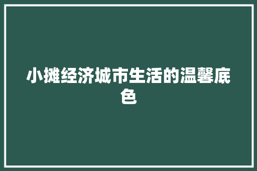 小摊经济城市生活的温馨底色 小摊经济城市生活的温馨底色