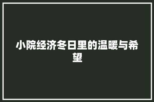 小院经济冬日里的温暖与希望 小院经济冬日里的温暖与希望
