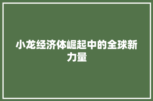 小龙经济体崛起中的全球新力量 小龙经济体崛起中的全球新力量