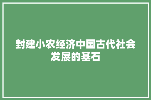 封建小农经济中国古代社会发展的基石 封建小农经济中国古代社会发展的基石