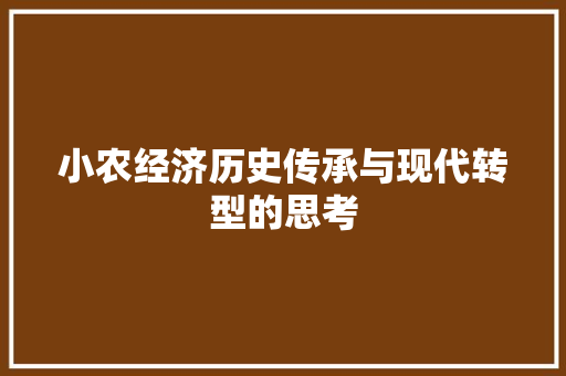 小农经济历史传承与现代转型的思考 小农经济历史传承与现代转型的思考