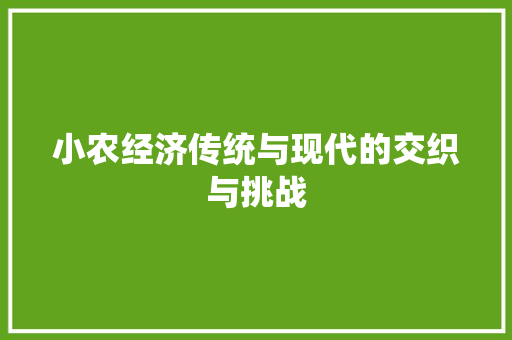 小农经济传统与现代的交织与挑战 小农经济传统与现代的交织与挑战