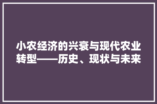 小农经济的兴衰与现代农业转型——历史、现状与未来展望 小农经济的兴衰与现代农业转型——历史、现状与未来展望
