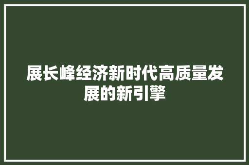 展长峰经济新时代高质量发展的新引擎 展长峰经济新时代高质量发展的新引擎