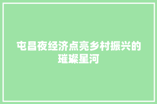 屯昌夜经济点亮乡村振兴的璀璨星河 屯昌夜经济点亮乡村振兴的璀璨星河