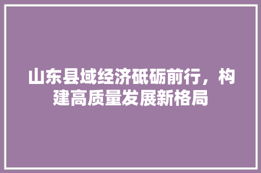 山东县域经济砥砺前行，构建高质量发展新格局