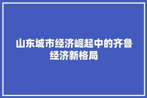 山东城市经济崛起中的齐鲁经济新格局 山东城市经济崛起中的齐鲁经济新格局