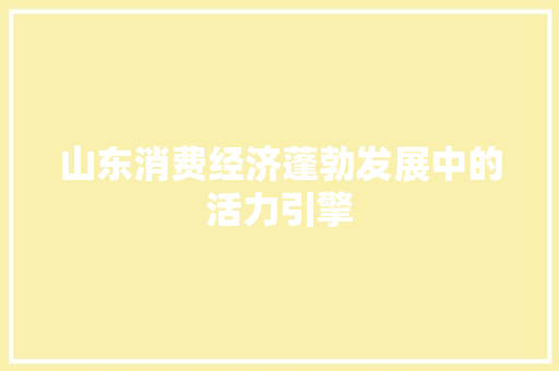 山东消费经济蓬勃发展中的活力引擎 山东消费经济蓬勃发展中的活力引擎