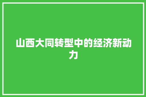山西大同转型中的经济新动力