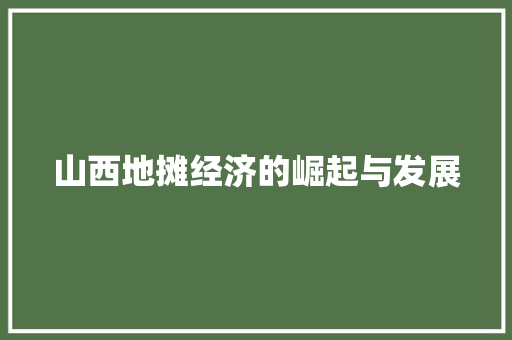 山西地摊经济的崛起与发展 山西地摊经济的崛起与发展