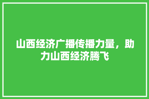 山西经济广播传播力量,助力山西经济腾飞 山西经济广播传播力量,助力山西经济腾飞