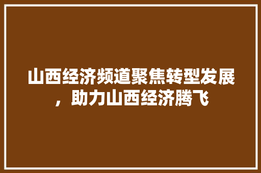 山西经济频道聚焦转型发展,助力山西经济腾飞 山西经济频道聚焦转型发展,助力山西经济腾飞