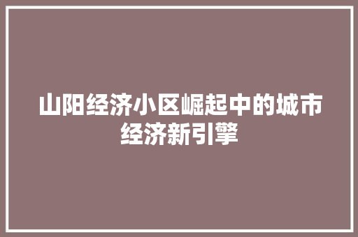 山阳经济小区崛起中的城市经济新引擎 山阳经济小区崛起中的城市经济新引擎