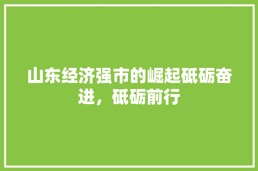 山东经济强市的崛起砥砺奋进,砥砺前行 山东经济强市的崛起砥砺奋进,砥砺前行