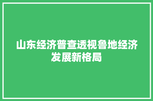山东经济普查透视鲁地经济发展新格局 山东经济普查透视鲁地经济发展新格局