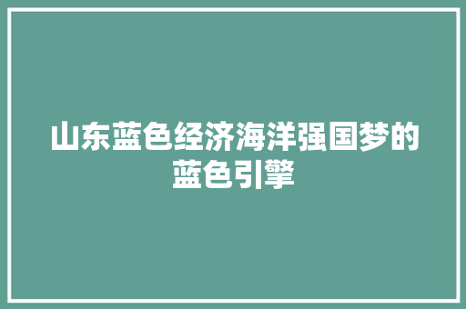 山东蓝色经济海洋强国梦的蓝色引擎 山东蓝色经济海洋强国梦的蓝色引擎