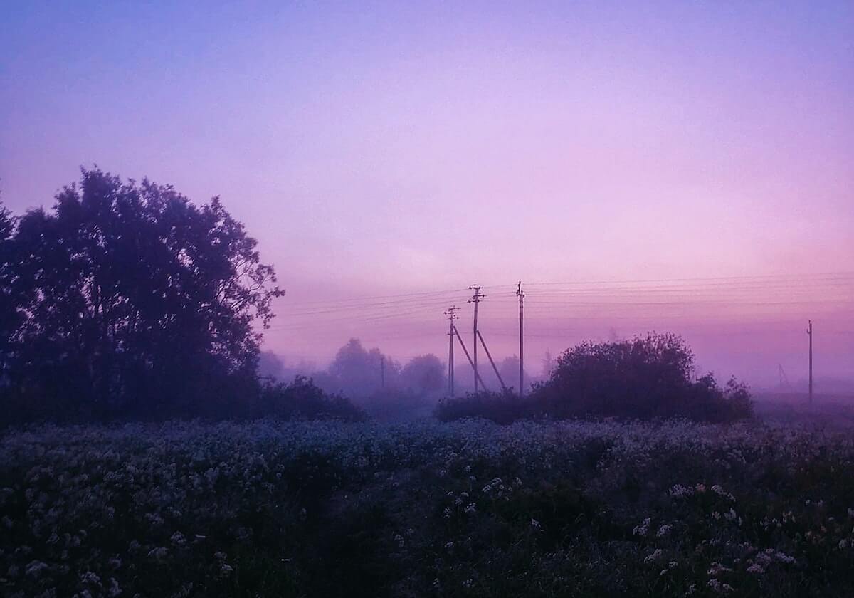 国信证券网上交易软件,便捷高效的投资利器